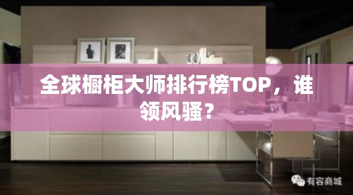 项目介绍 第27页