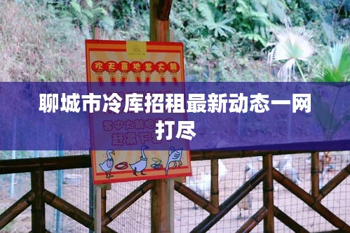 聊城市冷库招租最新动态一网打尽