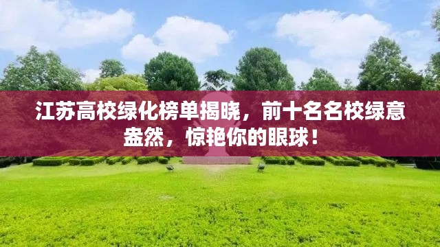 江苏高校绿化榜单揭晓，前十名名校绿意盎然，惊艳你的眼球！