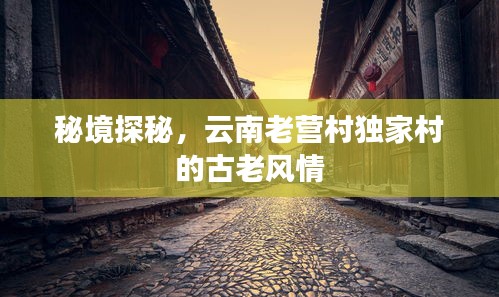 项目介绍 第24页