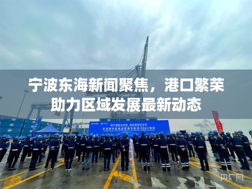 宁波东海新闻聚焦，港口繁荣助力区域发展最新动态