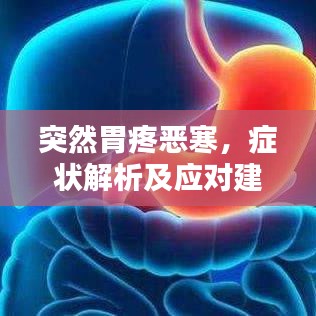 突然胃疼恶寒，症状解析及应对建议