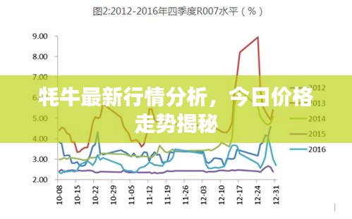 牦牛最新行情分析，今日价格走势揭秘