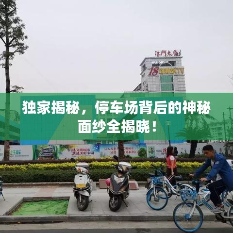 独家揭秘，停车场背后的神秘面纱全揭晓！