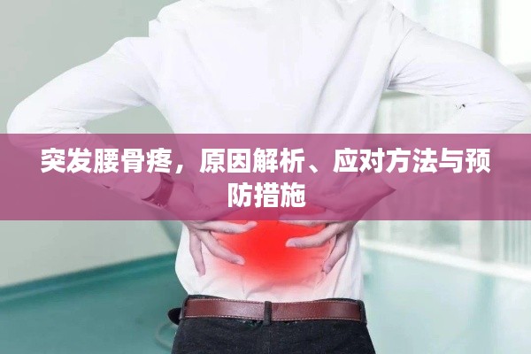 突发腰骨疼，原因解析、应对方法与预防措施