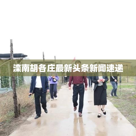 勤勤恳恳