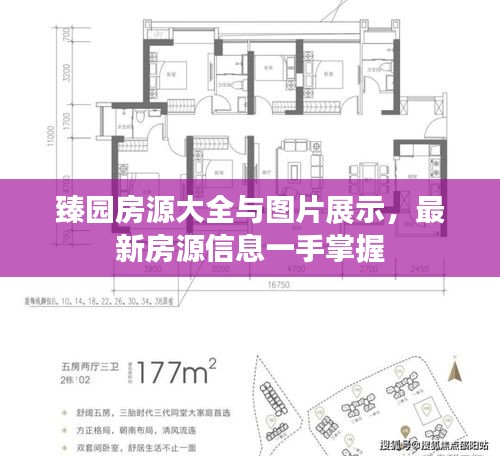 行业新闻 第14页