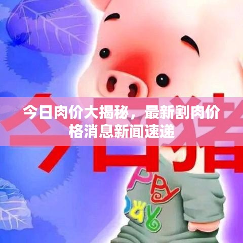 项目介绍 第15页