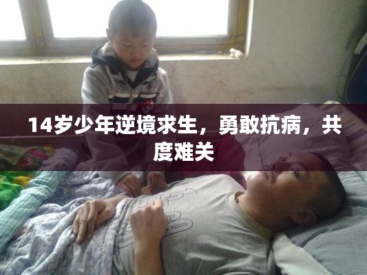 行业新闻 第13页