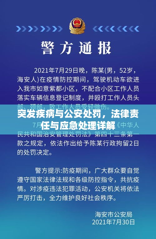 突发疾病与公安处罚，法律责任与应急处理详解