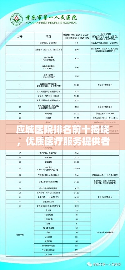 应城医院排名前十揭晓，优质医疗服务提供者一览无余