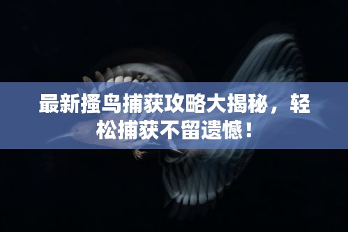 最新搔鸟捕获攻略大揭秘，轻松捕获不留遗憾！