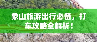 一花独放