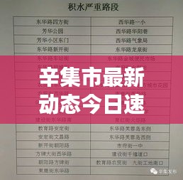 辛集市最新动态今日速递
