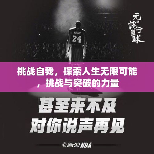 项目介绍 第12页