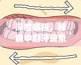 深度解析，睡眠中磨牙现象的原因与影响