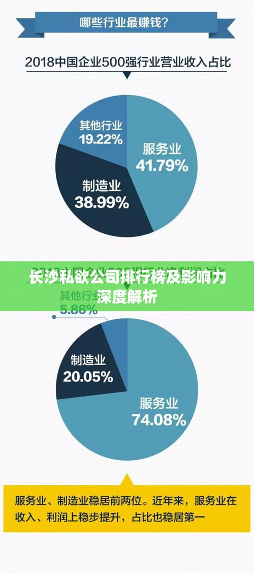 长沙私欲公司排行榜及影响力深度解析