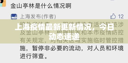 上海疫情最新更新情况，今日动态速递