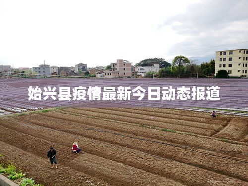 行业新闻 第8页
