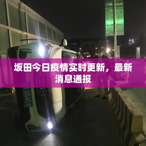 林下风气