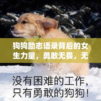 狗狗励志语录背后的女生力量，勇敢无畏，无限潜能