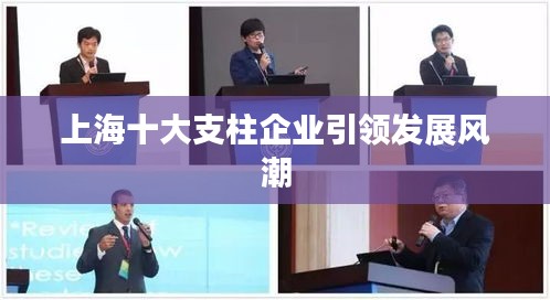 上海十大支柱企业引领发展风潮