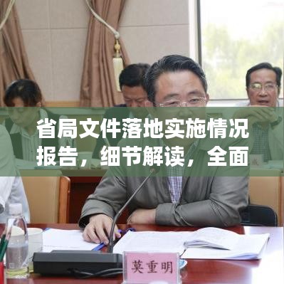 省局文件落地实施情况报告，细节解读，全面呈现！