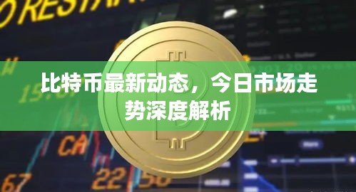 比特币最新动态，今日市场走势深度解析