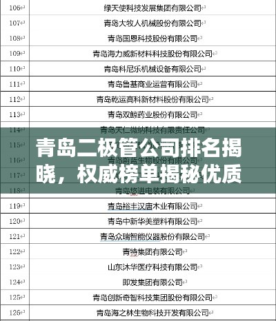 项目介绍 第8页
