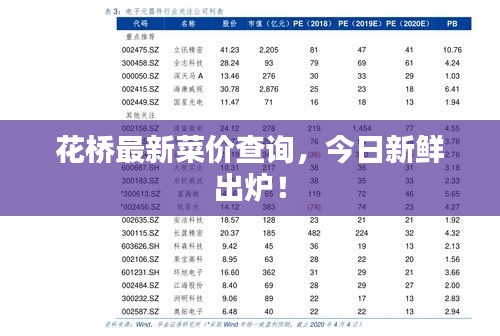 花桥最新菜价查询，今日新鲜出炉！