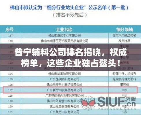 普宁辅料公司排名揭晓，权威榜单，这些企业独占鳌头！