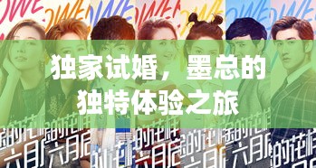 独家试婚，墨总的独特体验之旅