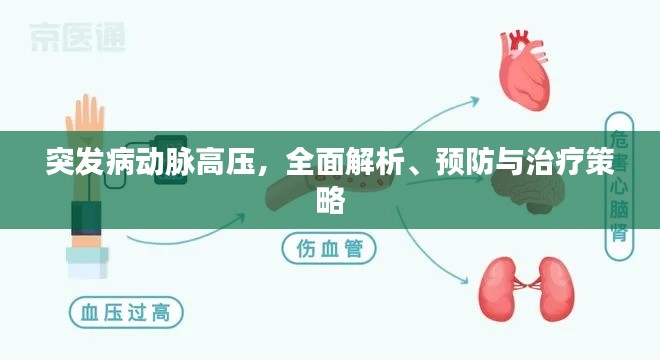关于我们 第5页