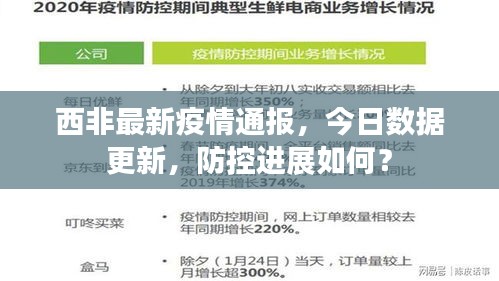 项目介绍 第5页
