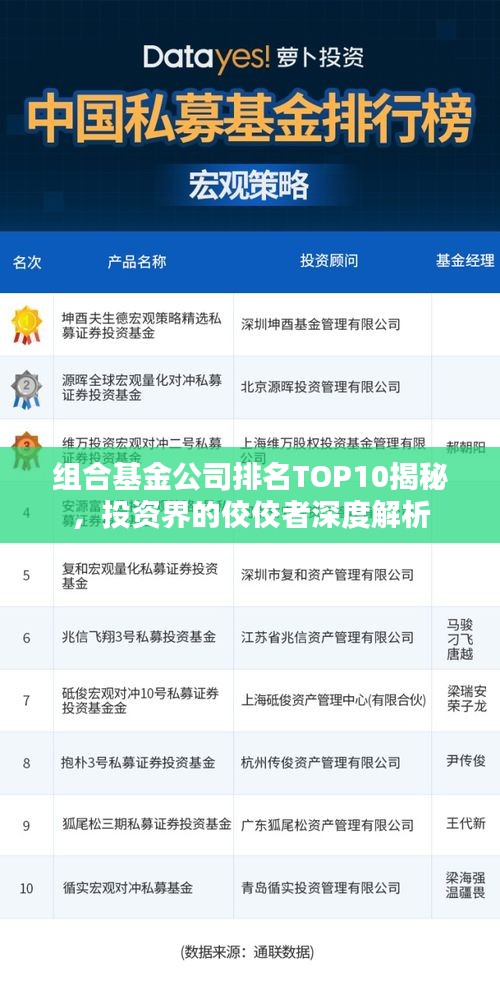 组合基金公司排名TOP10揭秘，投资界的佼佼者深度解析