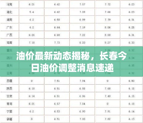 油价最新动态揭秘，长春今日油价调整消息速递