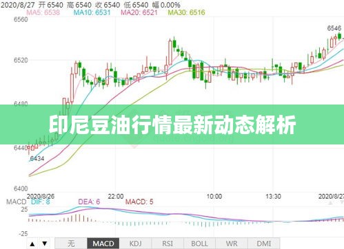印尼豆油行情最新动态解析