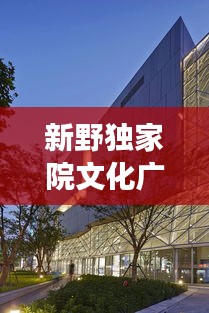 新野独家院文化广场，传承与创新的完美交融
