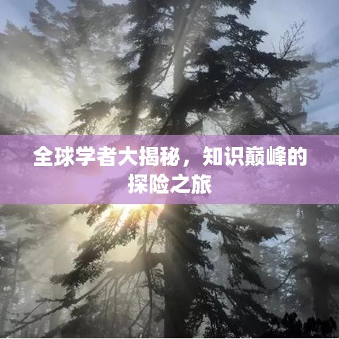 全球学者大揭秘，知识巅峰的探险之旅