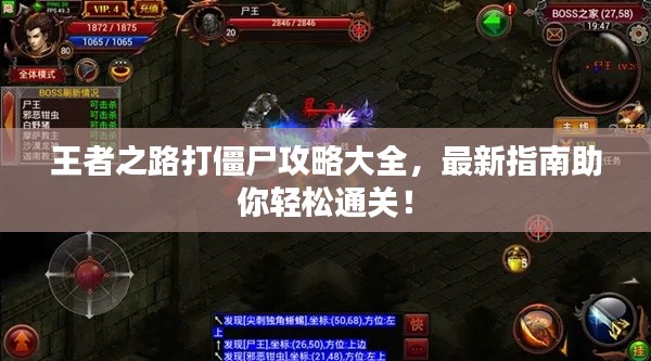 王者之路打僵尸攻略大全，最新指南助你轻松通关！