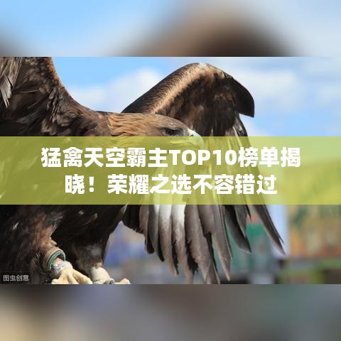 猛禽天空霸主TOP10榜单揭晓！荣耀之选不容错过