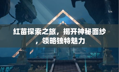 红苗探索之旅，揭开神秘面纱，领略独特魅力