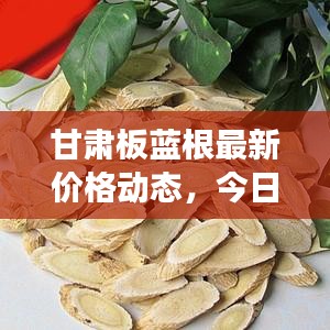 甘肃板蓝根最新价格动态，今日市场分析及趋势预测