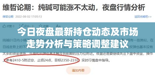 今日夜盘最新持仓动态及市场走势分析与策略调整建议