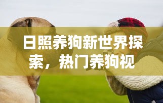 日照养狗新世界探索，热门养狗视频大集结