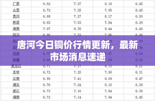 唐河今日铜价行情更新，最新市场消息速递
