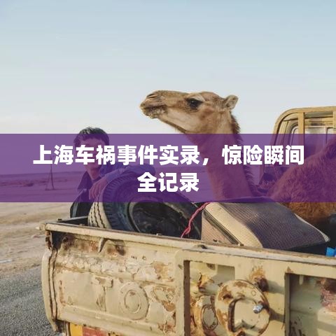 上海车祸事件实录，惊险瞬间全记录