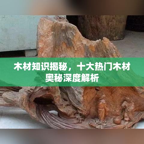 木材知识揭秘，十大热门木材奥秘深度解析