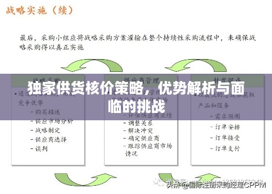 独家供货核价策略，优势解析与面临的挑战