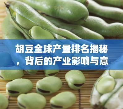 胡豆全球产量排名揭秘，背后的产业影响与意义